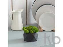 Кашпо бетонное со мхом «Бета»