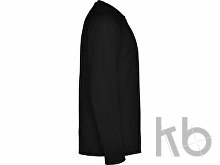 Футболка с длинным рукавом «Montecarlo» мужская