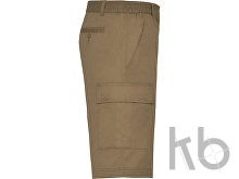 Шорты «Armour», мужские