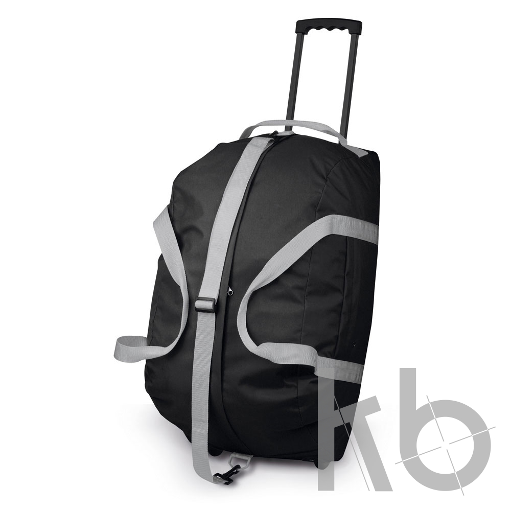 Спортивная сумка на колесах