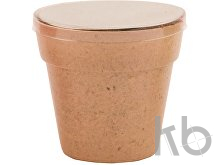 flower pot