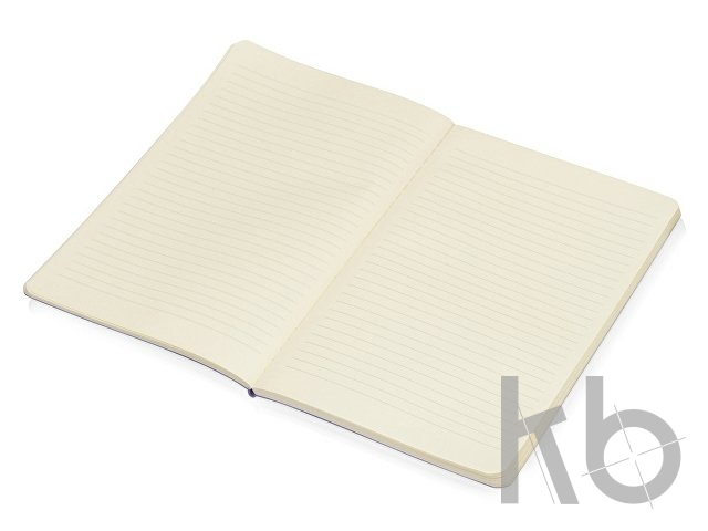 Блокнот А5 «Softy» soft-touch