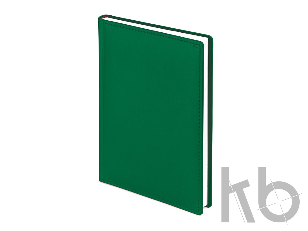 Ежедневник недатированный А4 «Velvet»