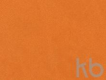 Ежедневник недатированный А5 «Lead AR»