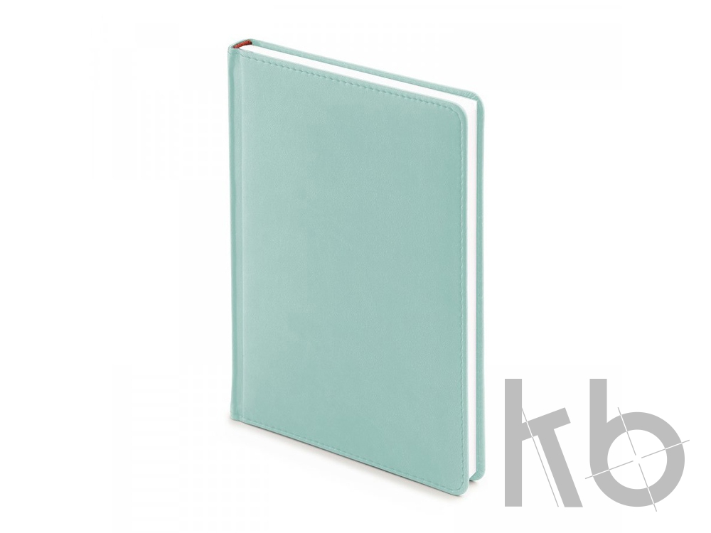 Ежедневник недатированный А5 «Velvet»