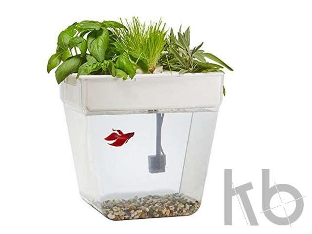 Набор для выращивания растений и ухода за рыбкой «Акваферма»