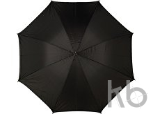 Polyester (190T) umbrella