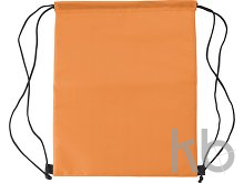 Polyester (210D) cooler bag