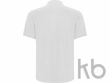 Рубашка поло «Centauro Premium» мужская