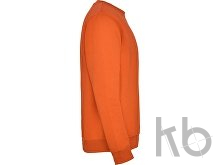 Свитшот с начесом «Clasica» унисекс