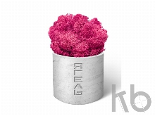 Мох Ягель натуральный