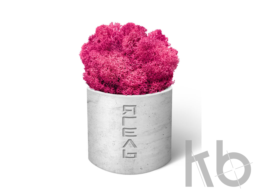 Мох Ягель натуральный