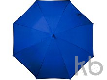 Automatic pongee (190T) storm proof umbrella.