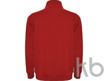 Свитшот «Aneto» мужской