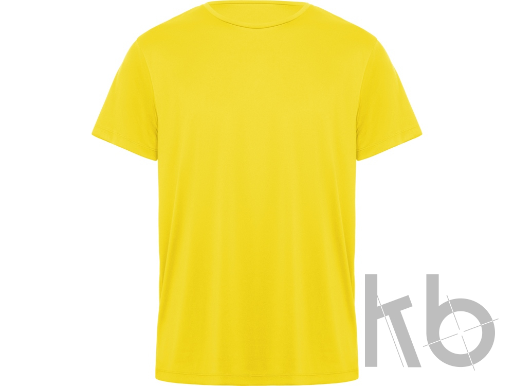 Спортивная футболка «Daytona» мужская