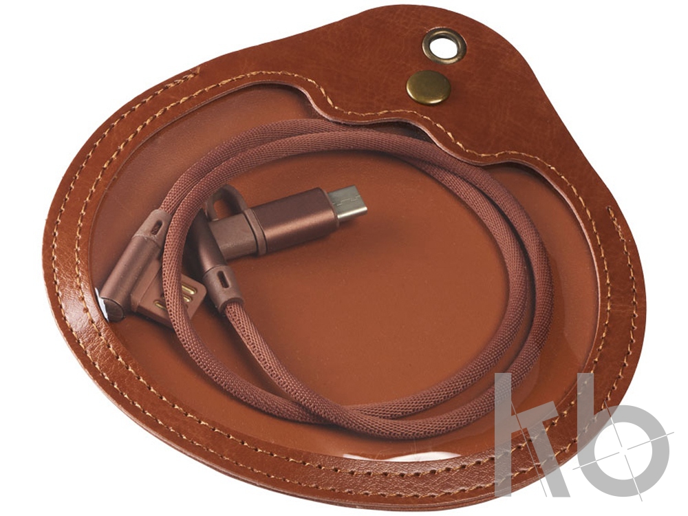 Кабель для зарядки «Ecliptic» 3 в 1