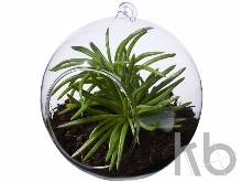 Террариум «Sphere»