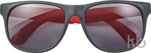 PP sunglasses