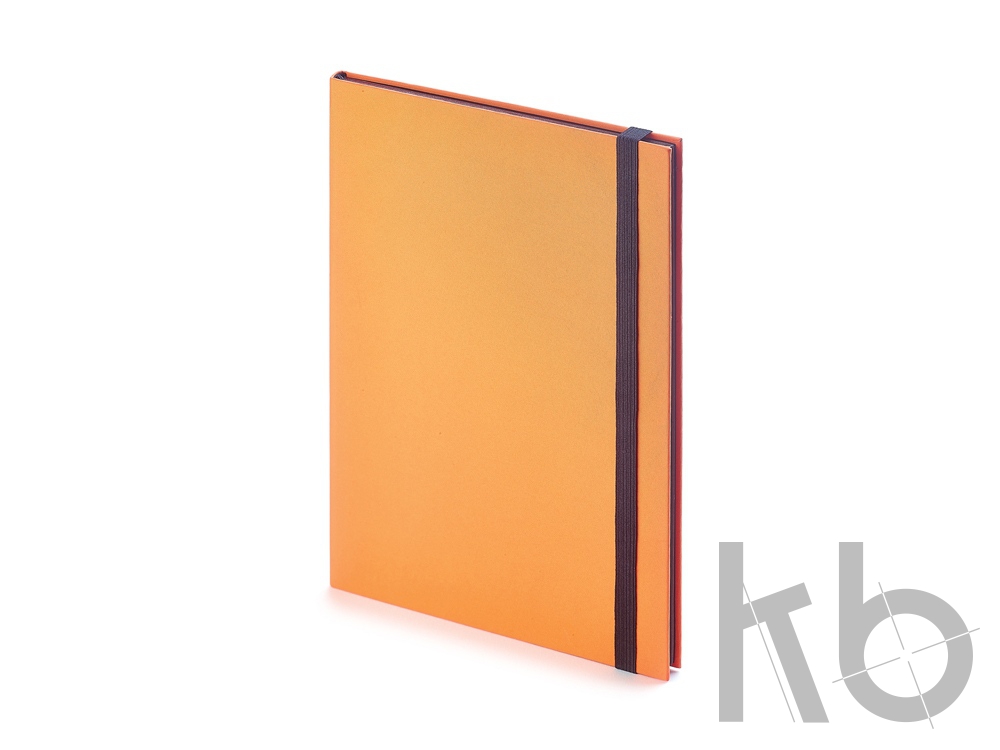 Еженедельник недатированный В5 «Tango»