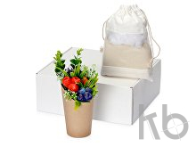 Подарочный набор «Ягодный аромат»