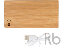 Bamboo power bank