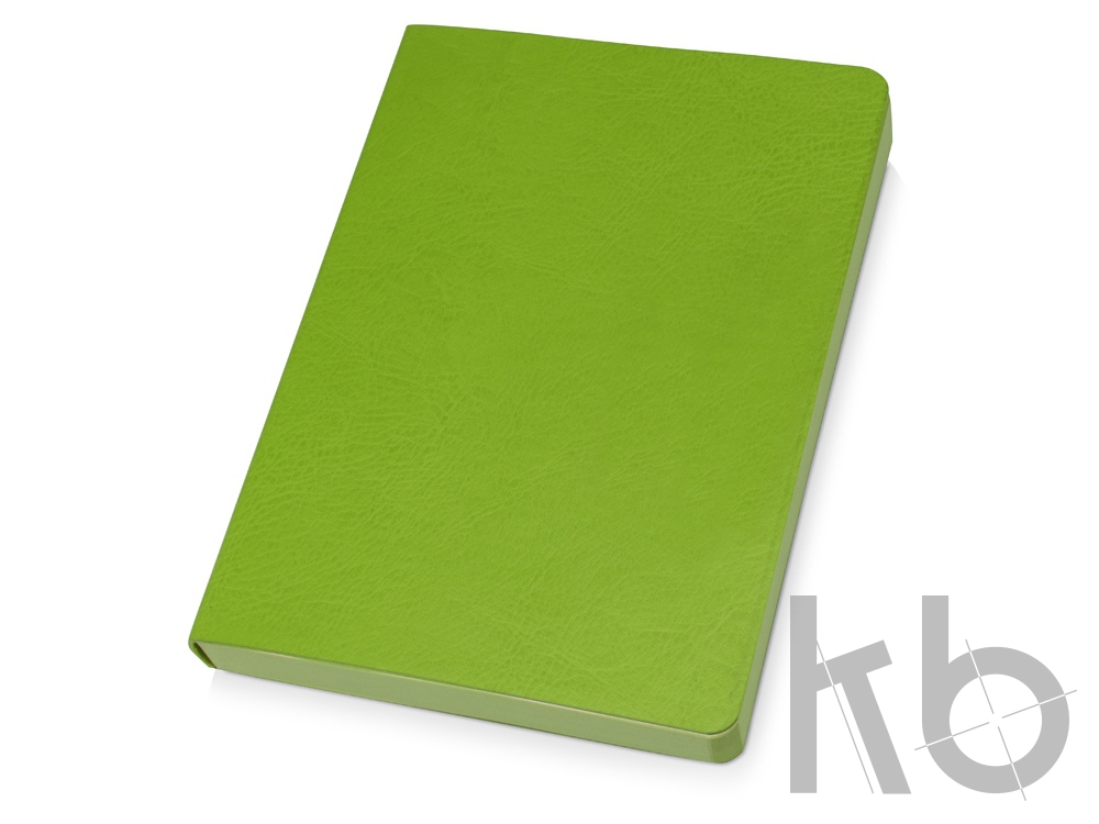 Ежедневник недатированный А5 «Vivid Flex AR»