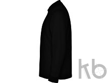 Рубашка поло «Carpe» мужская с длинным рукавом