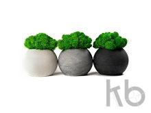 Кашпо бетонное со мхом «Сфера»