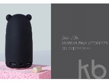 Внешний аккумулятор «NEO Bear», 10000mAh