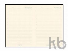 Ежедневник недатированный А5 «Bridge»