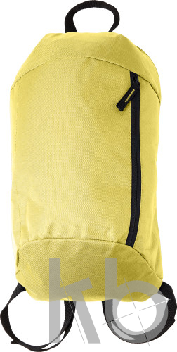 Polyester (210D) backpack