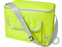 Polyester (420D) cooler bag
