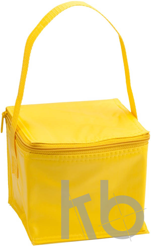 cooler bag