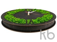 Настенные часы со мхом «Римские»