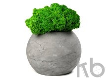 Кашпо бетонное со мхом «Сфера»