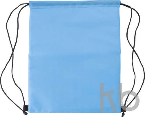 Polyester (210D) cooler bag