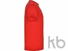 Футболка «Beagle» мужская