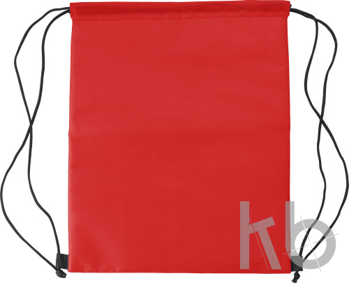 Polyester (210D) cooler bag