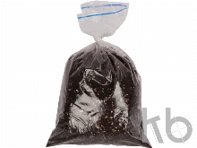 Подарочный набор «Вырасти Бонсай дома. Сосна»