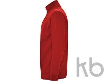 Свитшот «Aneto» мужской