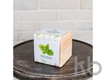Набор для выращивания «Big village cube «Мелиса Мохито»