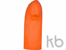 Футболка «Akita» мужская