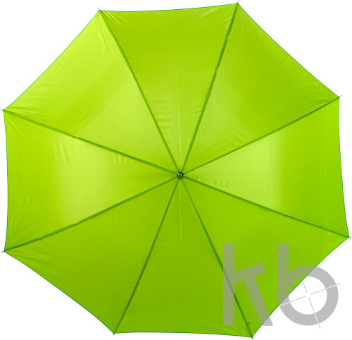 Polyester (190T) umbrella
