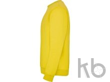 Свитшот с начесом «Clasica» унисекс