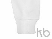 Толстовка с капюшоном оверсайз «Berlin» унисекс