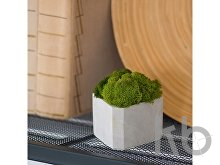 Кашпо бетонное со мхом «Гама»