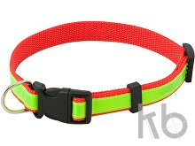 visibility dog's collar