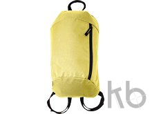 Polyester (210D) backpack