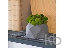 Кашпо бетонное со мхом «Бета»