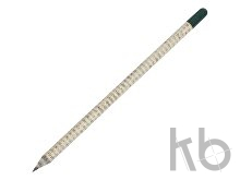 «Растущий карандаш» с семенами мяты